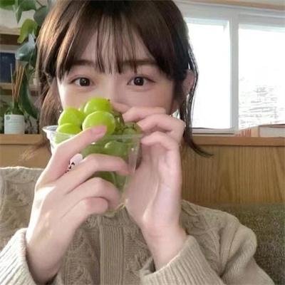 小熊历险记