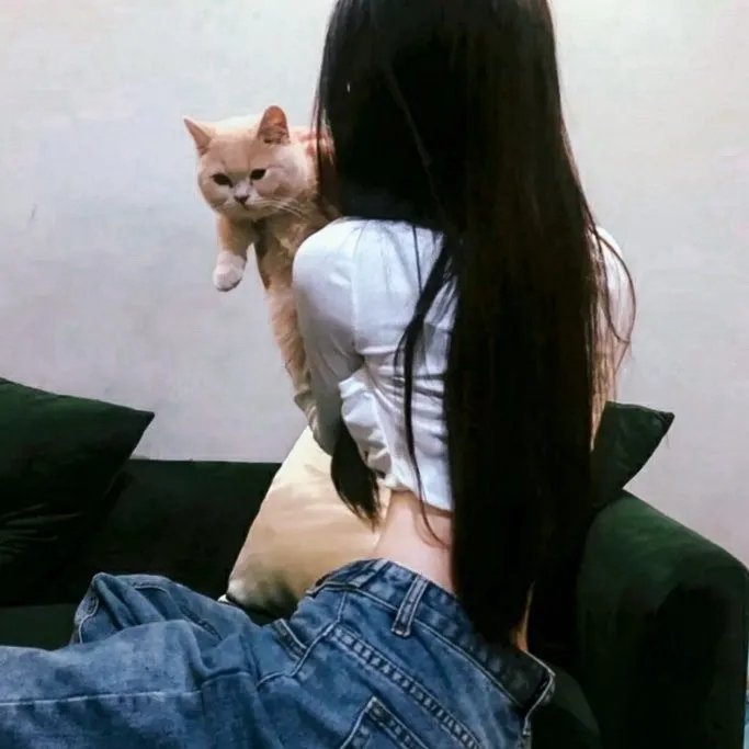 2019天猫双十一狂欢夜