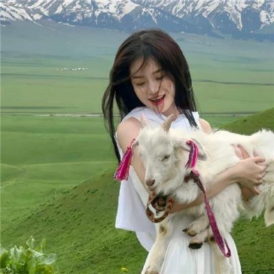 恐龙之王